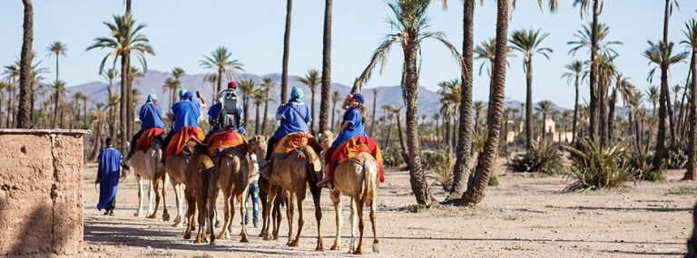 Camel-Riding-Tours-marrakech