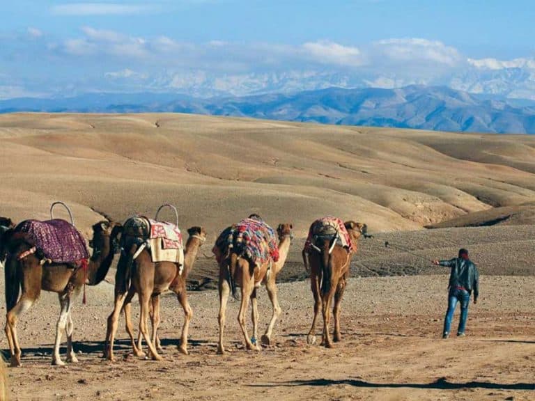 Desert Agafay and Atlas Mountains & Camel ride Day Trip From Marrakech_