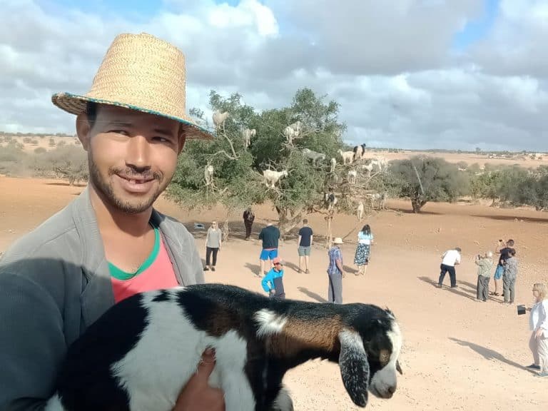 Essaouira_goath_argan_tree