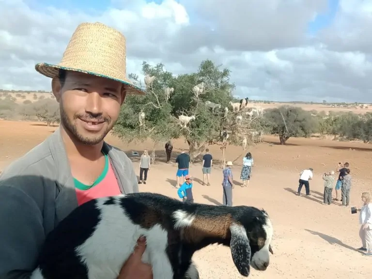 Essaouira_goath_argan_tree