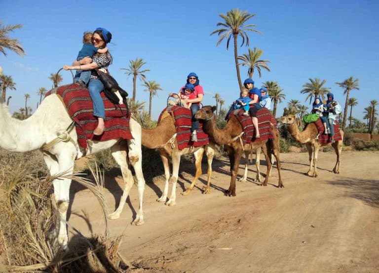 Excursion-dromadaires-Marrakech