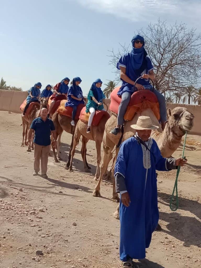 Palmeraie camel trekking