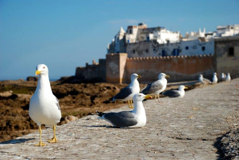 essaouira-1953633_1920