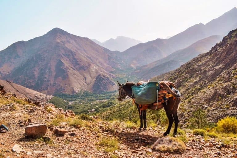 hiking-in-morocco-high-atlas-mountain-with-kasbah-du-toubkal-8