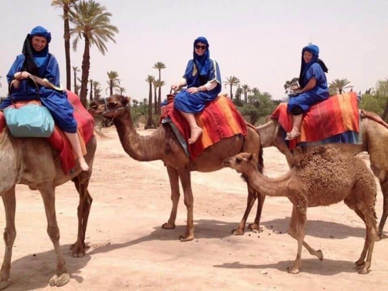 Half-Day Desert Quad & Dromedary Tour in Marrakech Palmeraie