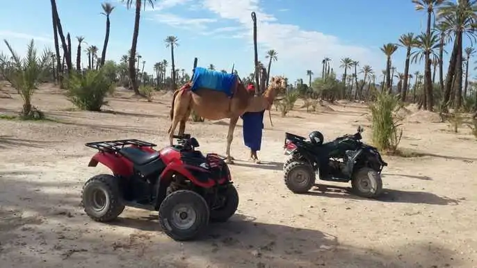 Half-Day Desert Quad & Dromedary Tour in Marrakech Palmeraie