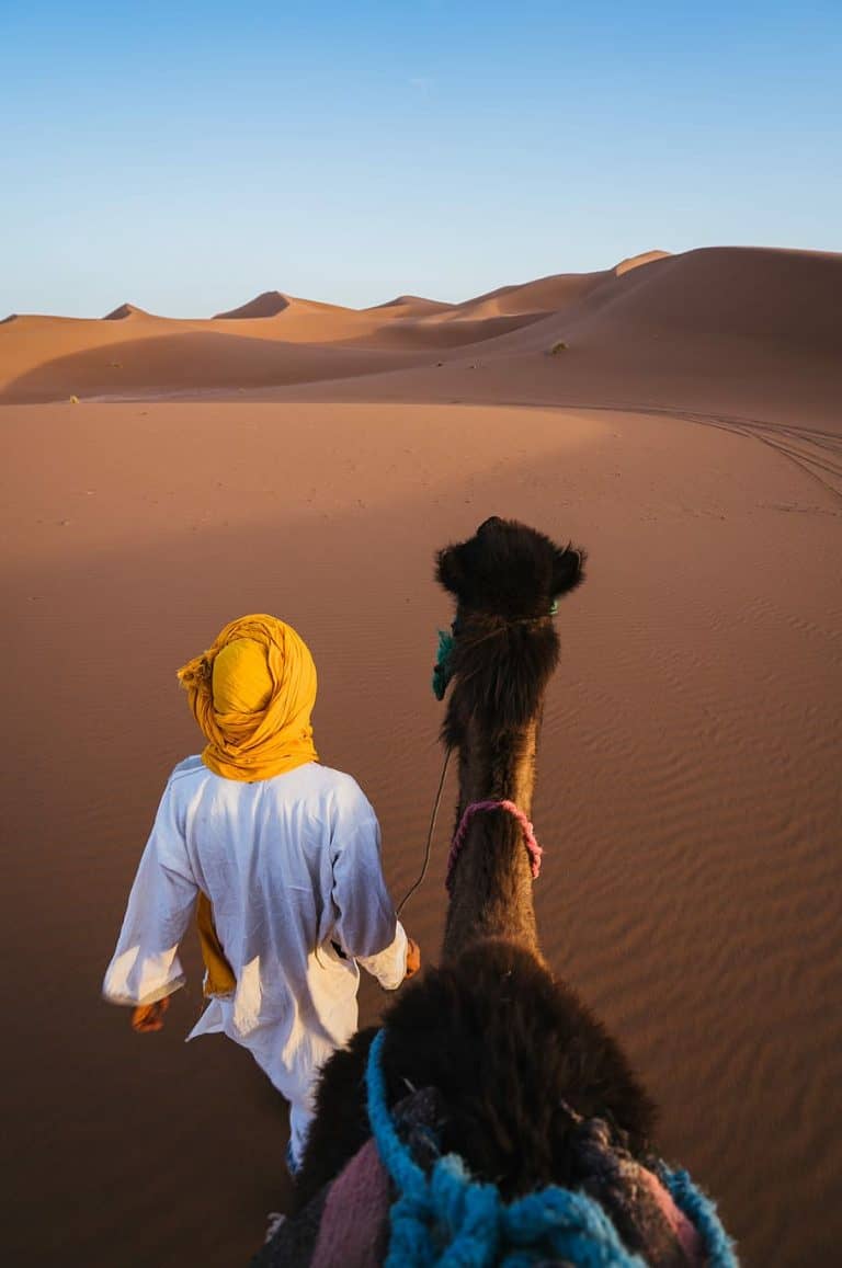 camel-desert-sand-morocco