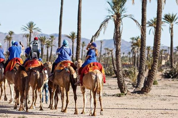 Camel-Riding-Tours-marrakech