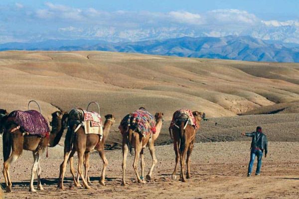 Desert Agafay and Atlas Mountains & Camel ride Day Trip From Marrakech_