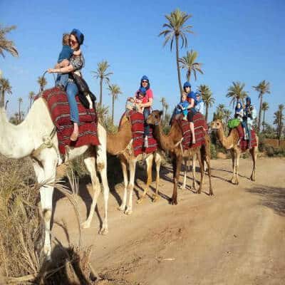 Excursion dromadaires Marrakech