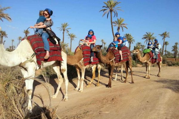 Excursion-dromadaires-Marrakech