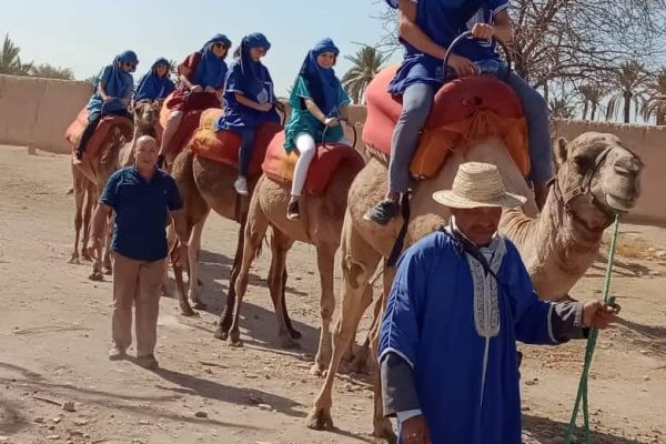 Palmeraie camel trekking