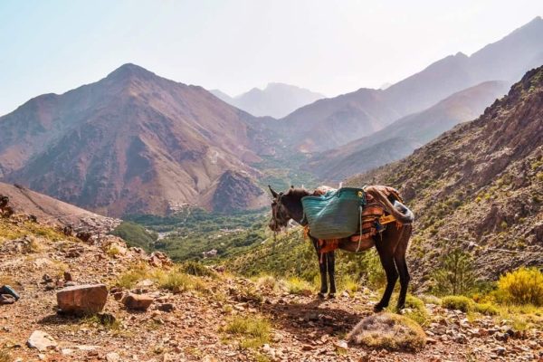 hiking-in-morocco-high-atlas-mountain-with-kasbah-du-toubkal-8