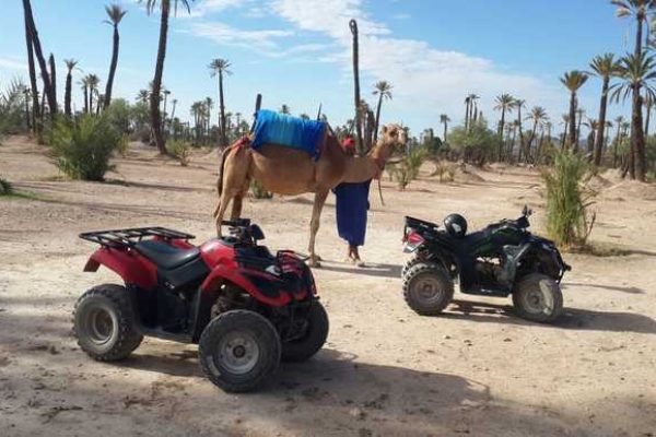 Half-Day Desert Quad & Dromedary Tour in Marrakech Palmeraie